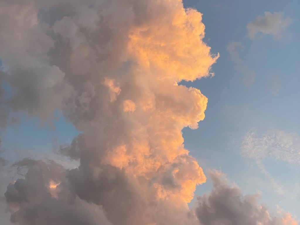 The Only Virus We Can Kill