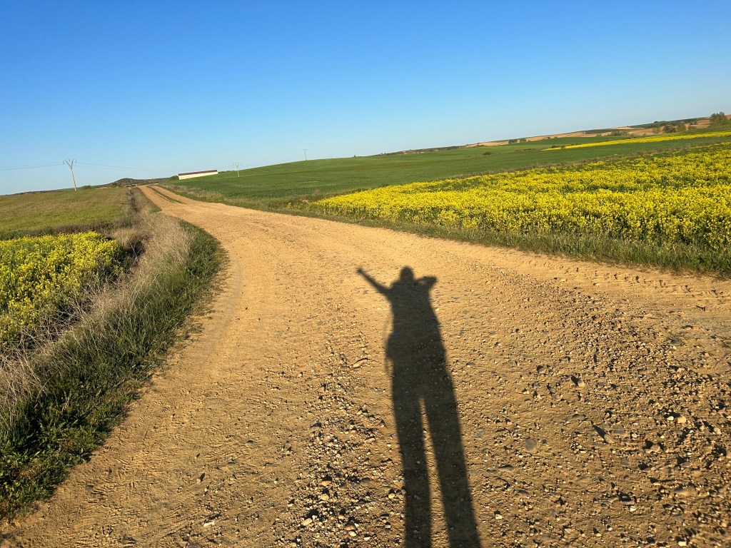 The Point To&nbsp;Life