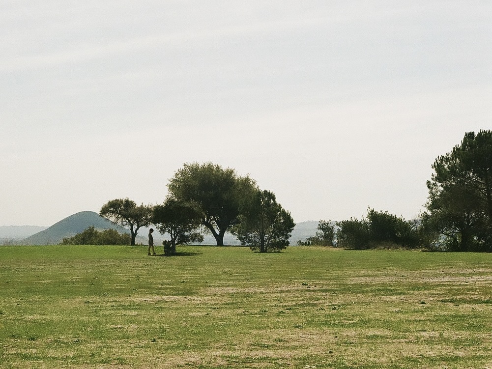 I wish to Be A&nbsp;Tree