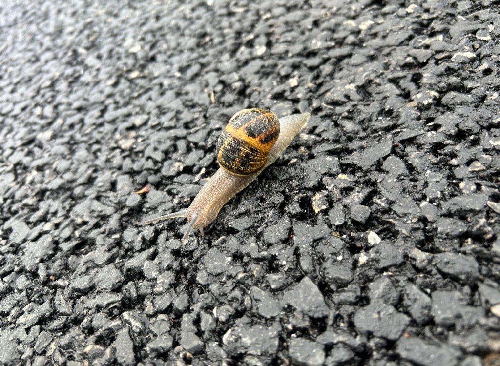 Sticky, Heavy, Dense, &&nbsp;Slow