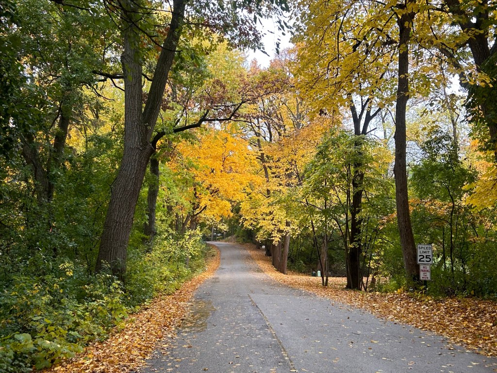 The Absolute Perfection in&nbsp;Messiness