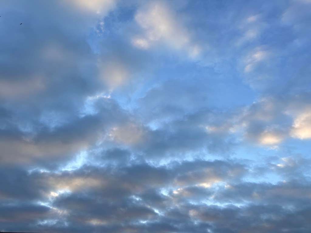 The Truest Forms of&nbsp;Wisdom