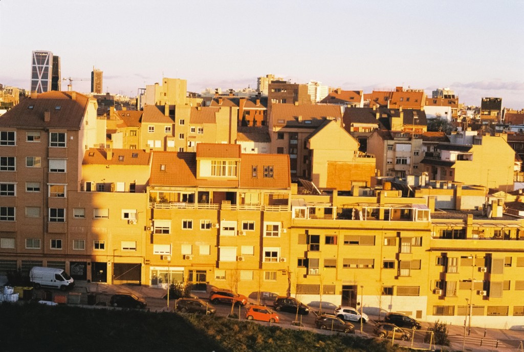 Nesting in the&nbsp;City