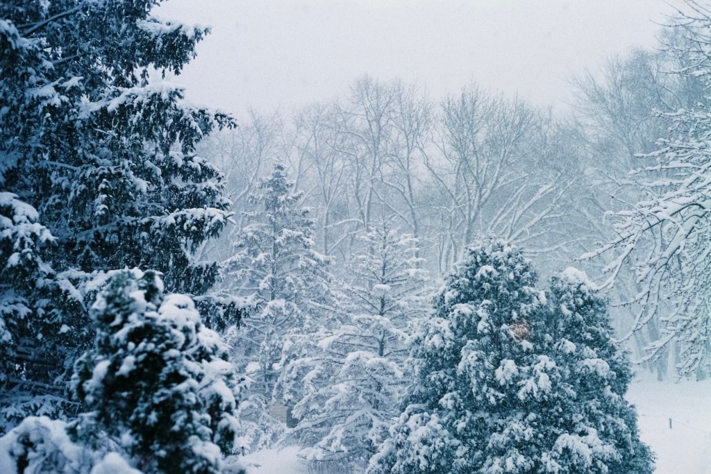 Self-Destruction: A Necessary&nbsp;Act?