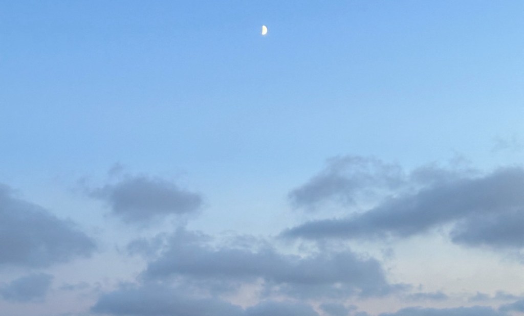 Nights (Juicy Moons)