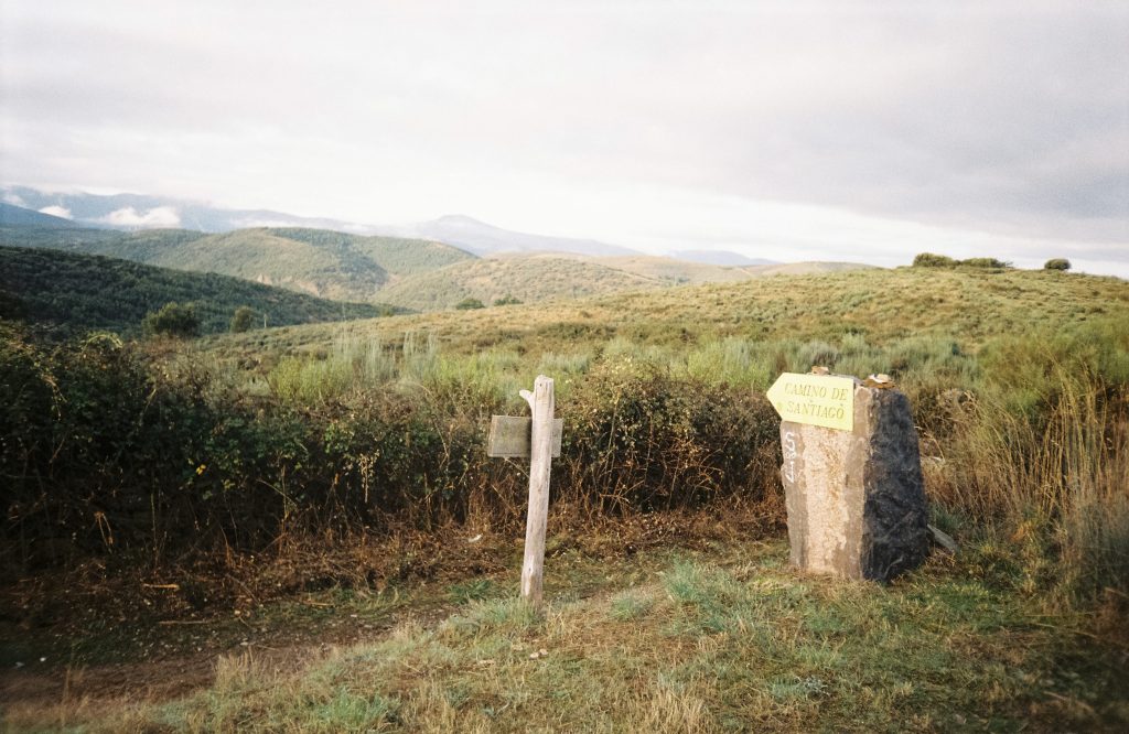 The Gift of&nbsp;Pain