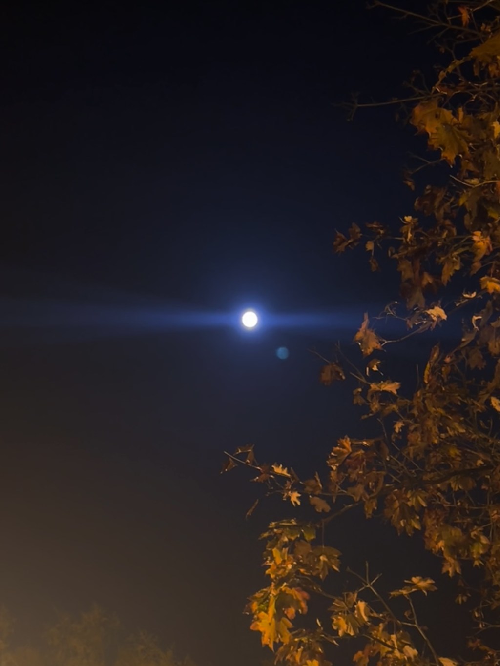 Let Go Of&nbsp;Self-Will