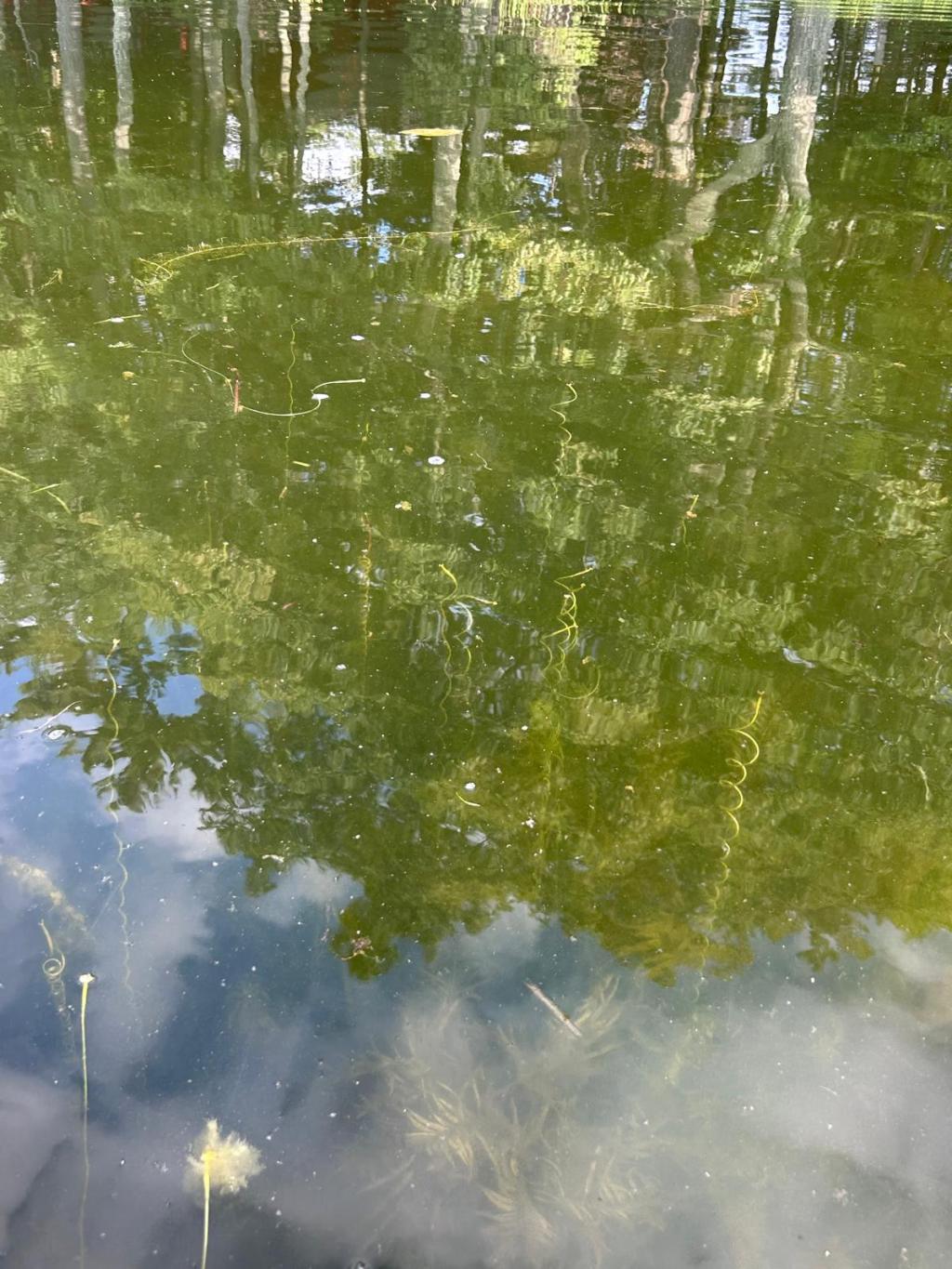 Rationality: Home of The Mind or The&nbsp;Heart?